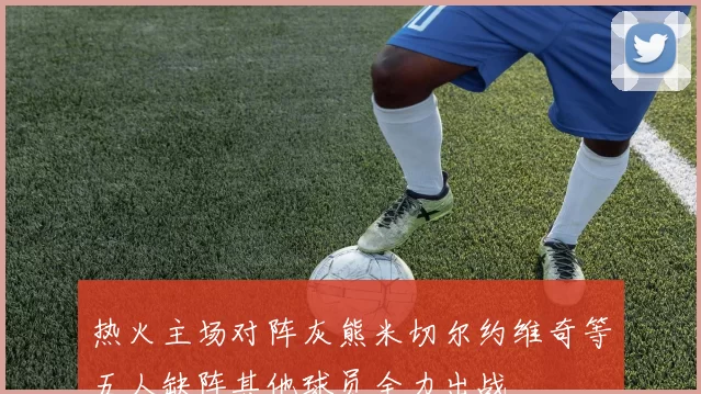 热火主场对阵灰熊米切尔约维奇等五人缺阵其他球员全力出战
