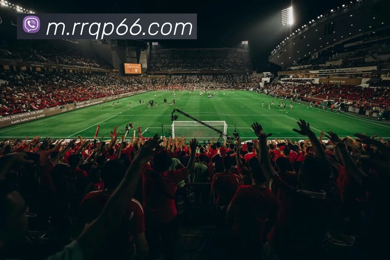 人人棋牌平台生态图